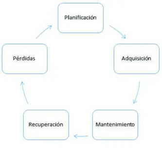 Figura 1.1: Ciclo de Crédito