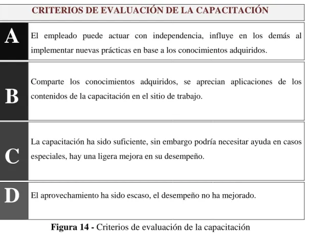Figura 14 - Criterios de evaluación de la capacitación 
