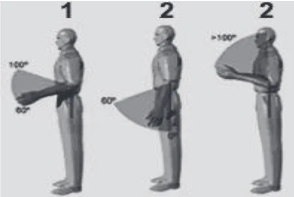Figura 1.7. Posturas determinadas por la metodología R.E.B.A. para la evaluación del  riesgo postural del antebrazo 