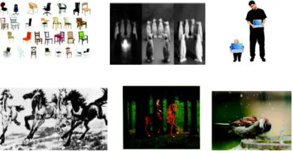 Figura 1.32. Collage de las dificultades que se presentan en la V.A. [26]. 