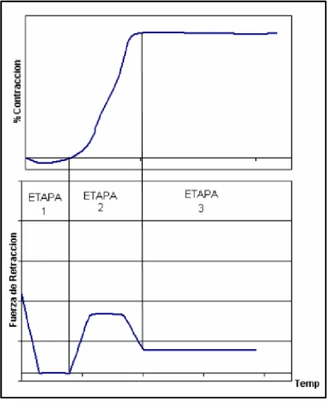 Fig. 1.1 Correlación de Termocontracción. 