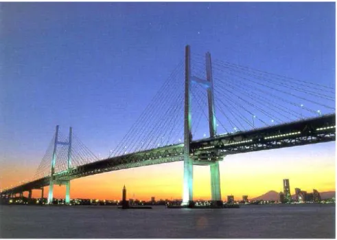 Fig. 1.5 Puente Atirantado