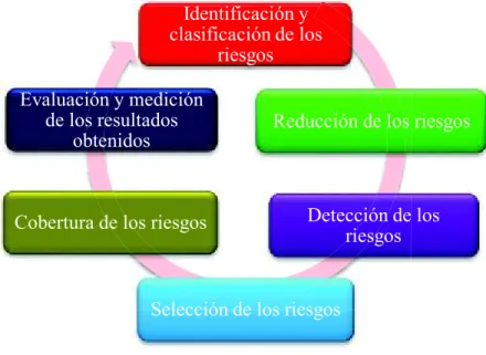 Figura 3.2 Proceso de la gestión de riesgos 