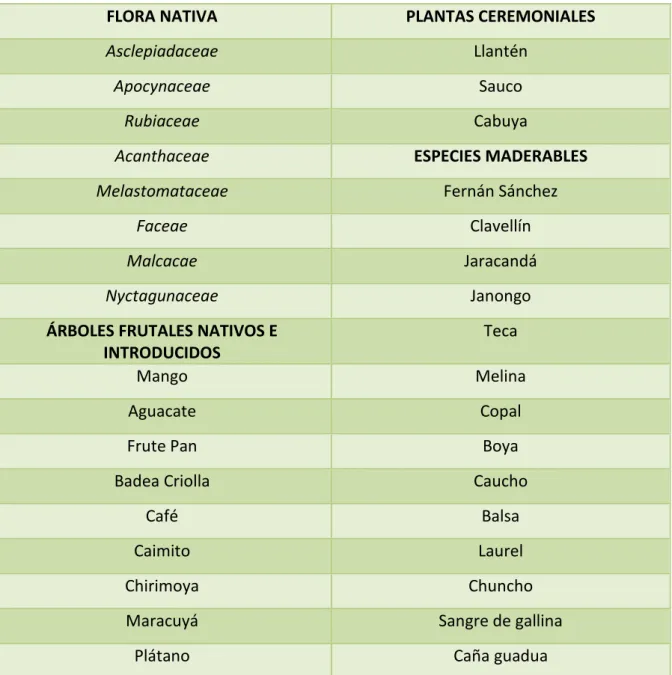 TABLA 4.1   FLORA REPRESENTATIVA DEL CANTÓN SANTO DOMINGO  FLORA NATIVA  PLANTAS CEREMONIALES 