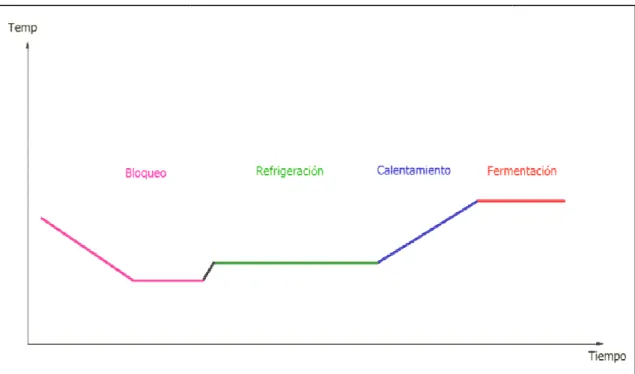 Figura 2.1. Esquema del proceso de fermentación controlada, y cada una  de sus etapas.