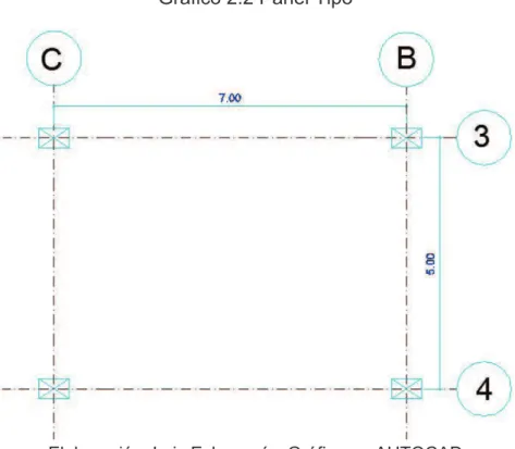 Gráfico 2.2 Panel Tipo 