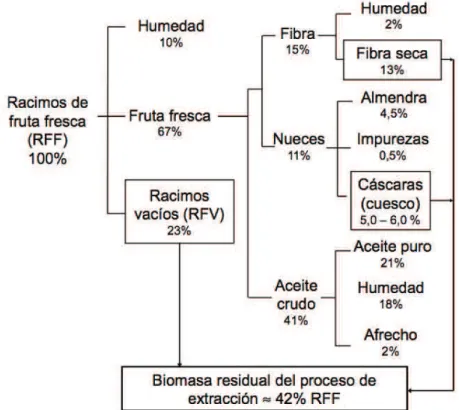 Figura 1.6. Esquema del balance de masa del proceso de extracción del aceite de palma 