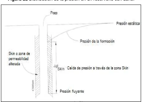 Figura 22 Distribución de la presión en un reservorio con daño. 