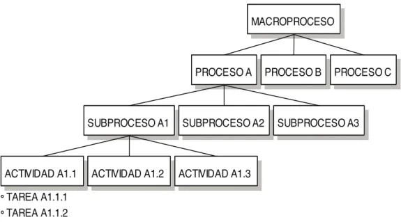 Figura 2 – Jerarquía del proceso 