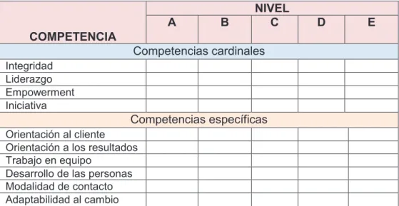 Figura  13- Evaluación por competencias 