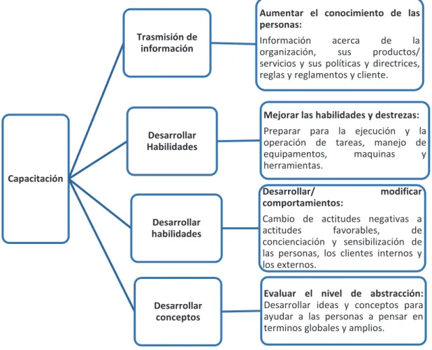 Figura  15- Proceso de capacitación