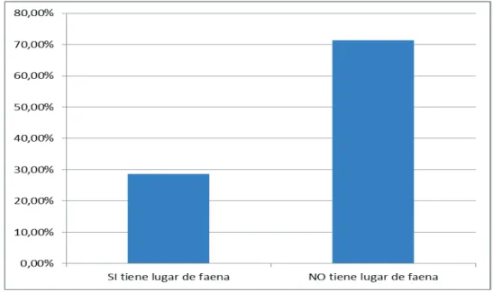 Tabla 3.27 -  Lugar de faena 