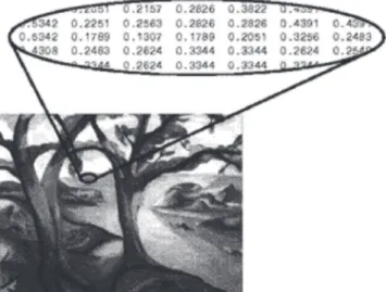 Figura 1.2: Representación de los valores en cada pixel en una imagen digital a escala de grises