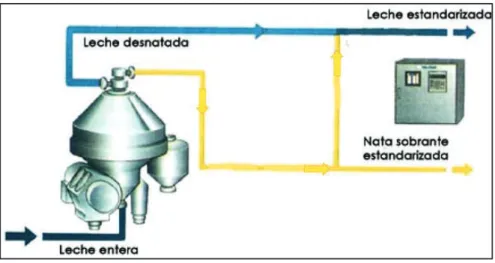 Gráfico 4. Proceso de estandarización 