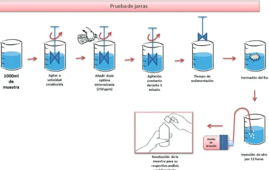 Gráfico 8. Simulación para el proceso de clarificación más aireación. 