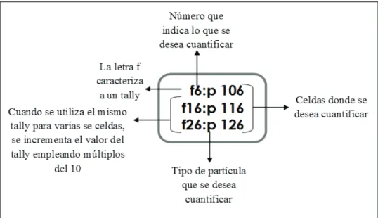Figura 1.22 Estructura de los cuantificadores de datos definidos en el programa MCNP 