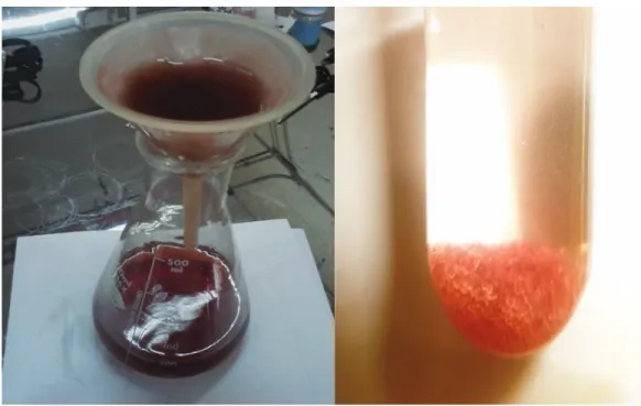 Figura 3.3. Filtración de vino tratado por frío (izquierda); cristales tartáricos precipitados por  estabilización tartárica por frío (derecha) 