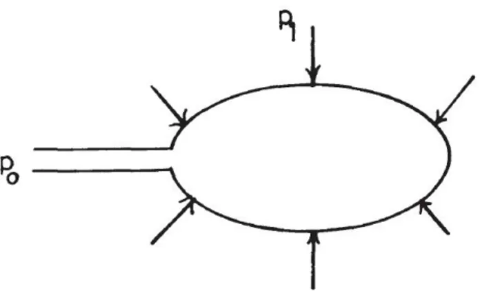 Figura 2.1: Representaci´ on esquem´ atica de una estructura porosa la cual se encuentra dentro de una envolvente a la que se le aplica una presi´ on hidrost´ atica p 1 , mientras que la presi´ on en el fluido que est´ a dentro de la envolvente es p 0 [38]