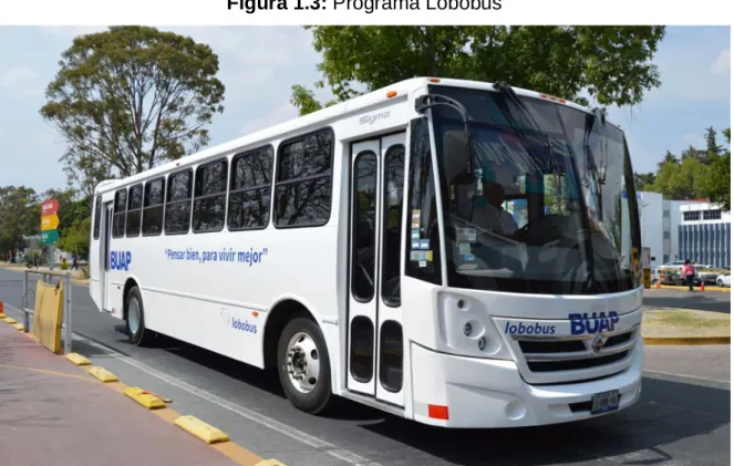 Figura 1.4: Ruta 1 Programa Lobobus 