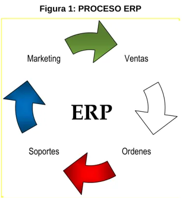 Figura 1: PROCESO ERP 