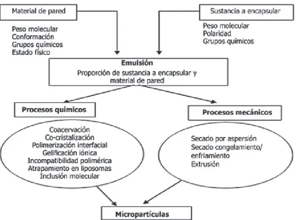 Figura  1.4.  Esquema de los diferentes procesos de microencapsulación  (Parra, 2010, p.5676)
