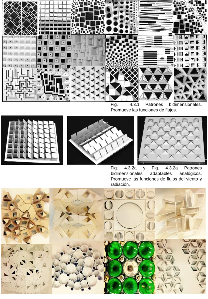 Fig.  4.3.1  Patrones  bidimensionales. 
