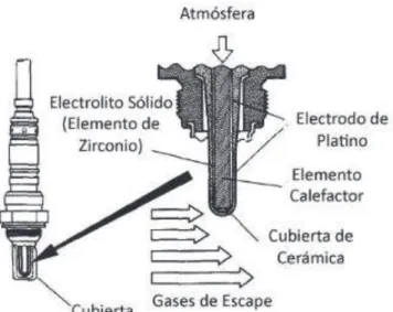 Figura 1. 26 Componentes Internos del Sensor de Oxigeno [17] 