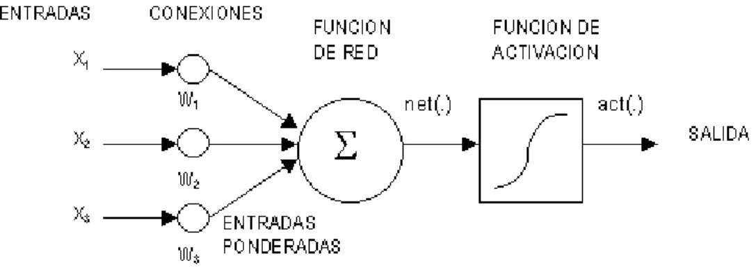 Figura 2.9. Estructura gráfica de una red neuronal artificial 