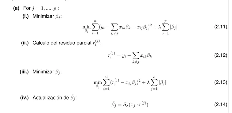 Figura 2.1: Algoritmo Lasso