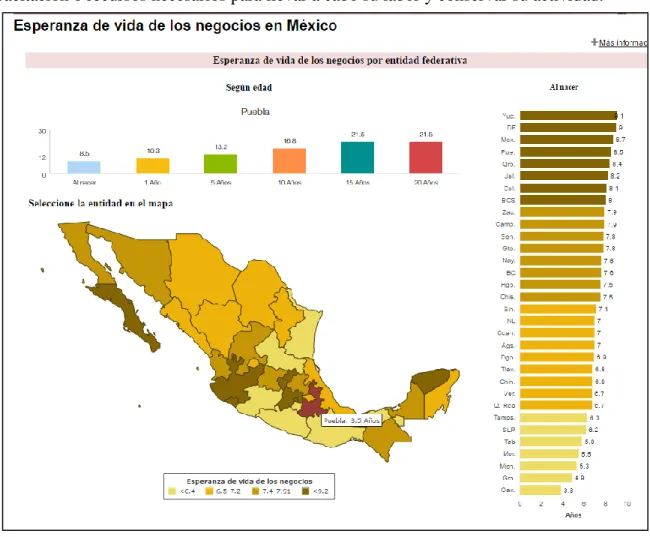 Gráfico 1 .  Esperanza de vida de los negocios en México. Esperanza por entidad federativa