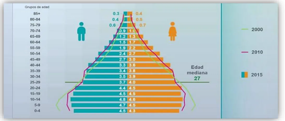 Figura 1. Comparación de la composición de la población por sexo y edad.  