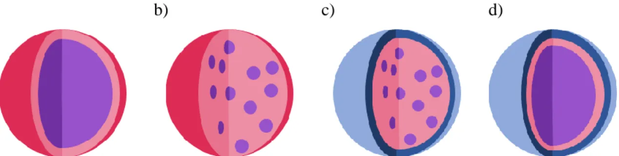 Figura 8. Tipos de cápsulas, a) Tipo reservorio, b) Tipo matriz, c) Tipo matriz recubierta,  d) Matriz multi pared ( Zuidam y Shimoni, 2010; Giro-Paloma et al., 2016 )