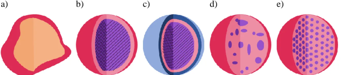 Figura 9. Posibles morfologías, a) Irregular, b) Simple, c) Multi pared, d) Núcleos  múltiples, e) Matriz de partículas (Giro-Paloma et al., 2016)