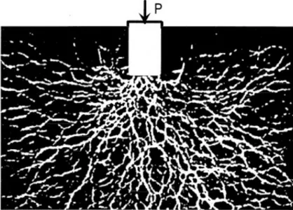 Figura 2.2 : Distribución de estrés en el interior de un material granular inhomogéneo, almacenado en un contenedor, conocido también como cadenas de fuerza