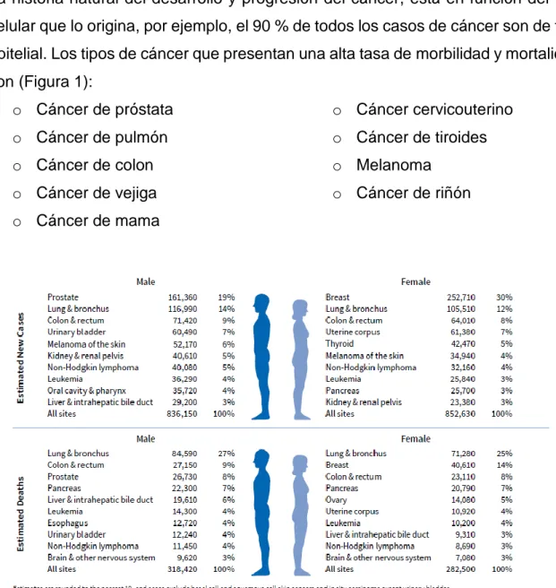 Figura  1.  Estimaciones  de  nuevos  casos  de  cáncer  y  muertes  relacionadas  a  cada  tipo  de  cáncer