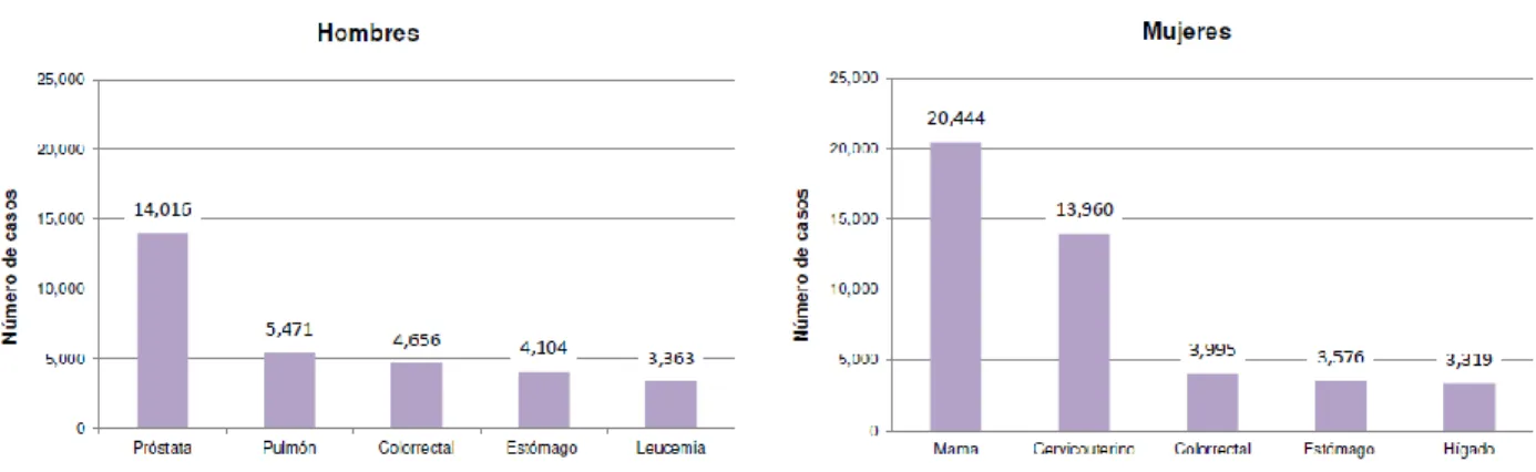 Figura 3. Incidencia de cáncer en la población mexicana de 20 años y más según sexo, 2014