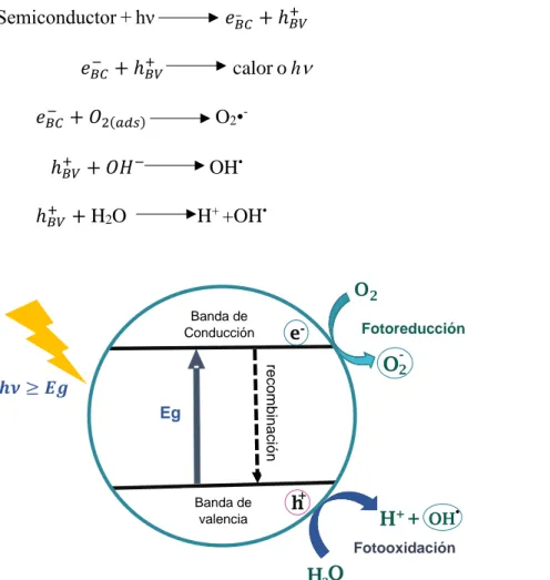 Figura 5. Representación esquemática del proceso de fotocatálisis que se lleva a cabo en un  material semiconductor [40]