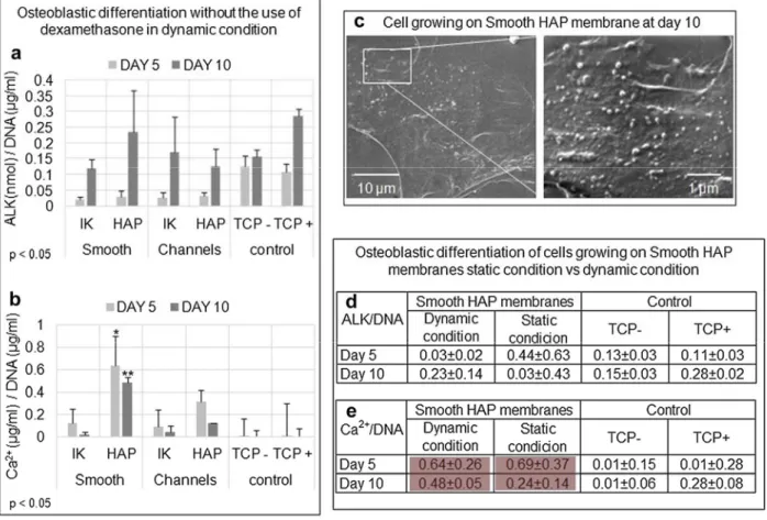 Fig. 3. (a) The highest ALK/DNA expression and (b) Ca deposition was observed on rMSCs growing on Smooth HAP membranes in non-osteogenic differentiation medium,  compared to cells on any other membrane or control substrate growing in osteogenic differentia