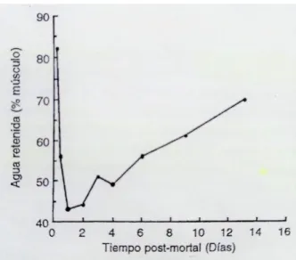 Figura 9.1 Relación de la CRA de la carne y el tiempo post mortem. 