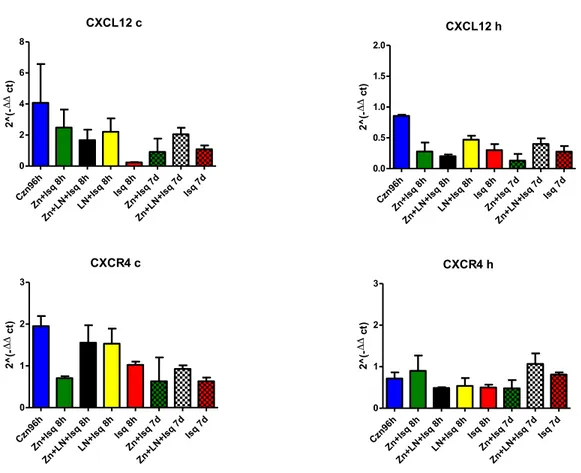 Figura 8 . Evaluación de la Transcripción de CXCL12/CXCR4 en los diferentes grupos, en  corteza  (c)  e  hipocampo  (h)