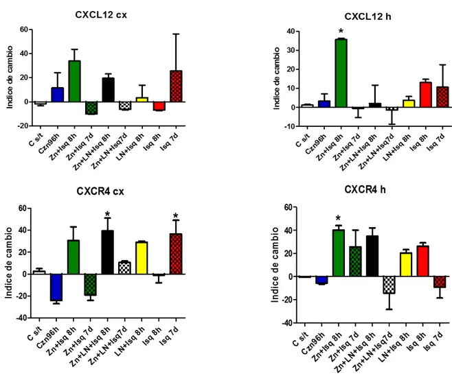 Figura  9 .  Evaluación  de  la  Expresión  de  CXCL12/CXCR4  en  los  diferentes  grupos,  en  corteza (c) e hipocampo (h)