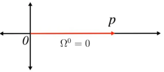 Figura 3.2: Trayectoria extremal con orientaci´ on constante cero.