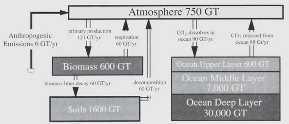 Figura 2.5: Esquema de las acumulaciones y flujos del ciclo de carbono global. [7] 