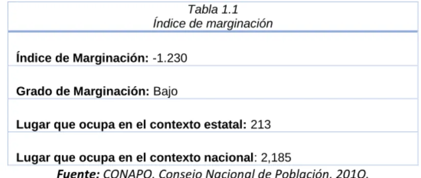 Tabla 1.1  Índice de marginación 