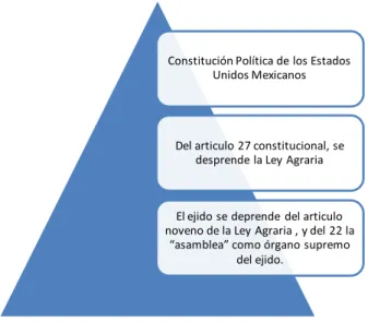 Ilustración 1 Los órganos del ejido 