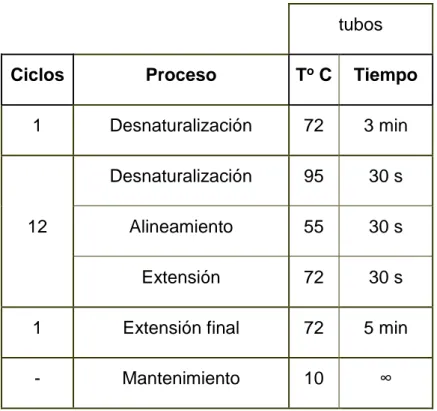 Tabla 3. Protocolo de termociclado para amplifiación en la secuenciación masiva. 