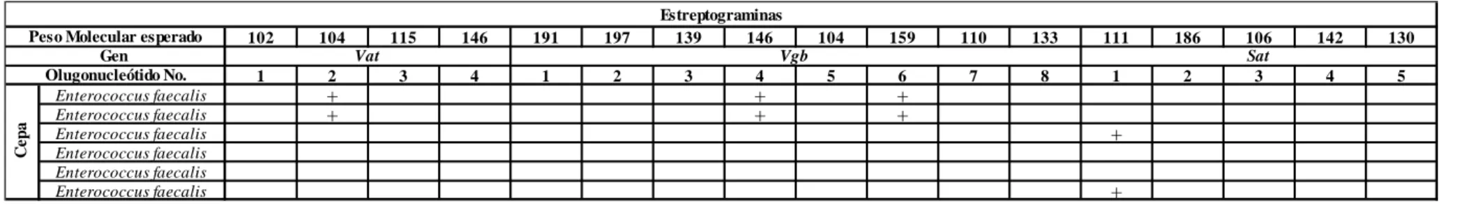 Tabla 9. Resumen de resultados en la búsqueda de genes de resistencia a Estreptograminas