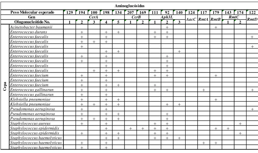 Tabla 18. Resultados de las reacciones de PCR punto final para la búsqueda de genes de resistencia a Aminoglucósidos