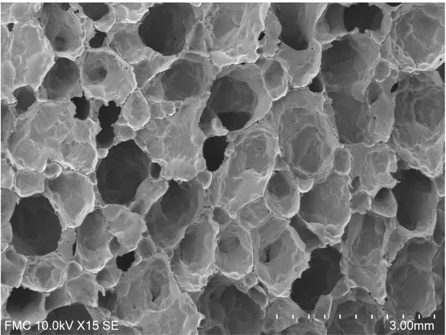 Figura 17: Ejemplo de imagen de la estructura de una espuma de vidrio (Muestra GF147) obtenida en el  SEM