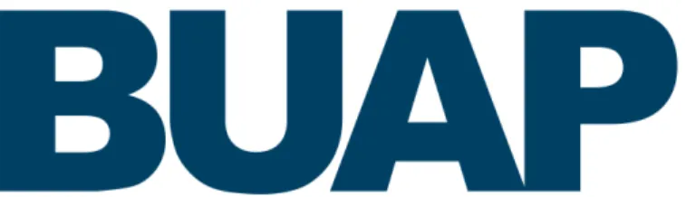 Figura 7. Logotipo BUAP 